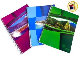 O.F.M5%CUADERNO AMERICA 29.7 NOS C/ESPIRAL X80HJS CUADRICULADO (653486/655145/655140)