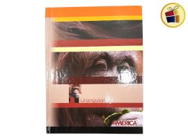 CUADERNO AMERICA X 162 HJS T/CARTON ANIMALES (674214/674219)           