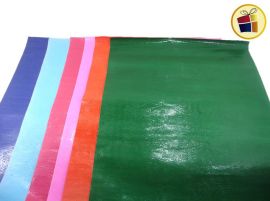 P.R.PAPEL FORRAR ARAÑA V/COLORES (340009)