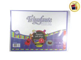 REPUESTO CANSON Nº5 NEGRO X5HJS TRIUNFANTE (678233)