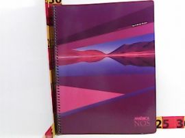 CUADERNO AMERICA 29.7 NOS C/ESPIRAL X80 HJS RAYADAS (655138/53349/655130/857631)