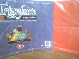 REPUESTO CANSON Nº5 COLOR X6 HJS TRIUNFANTE (777028)