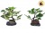 ADORNO BONSAI CERAMICA HOJAS VERDES 13CM NICO (525/495613)