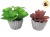 ADORNO PLANTA SUCULENTA ARTIFICIAL 17CM NICO (518-4/610517)