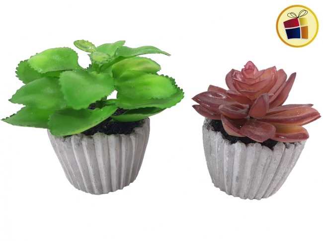 ADORNO PLANTA SUCULENTA ARTIFICIAL 17CM NICO (518-4/610517)