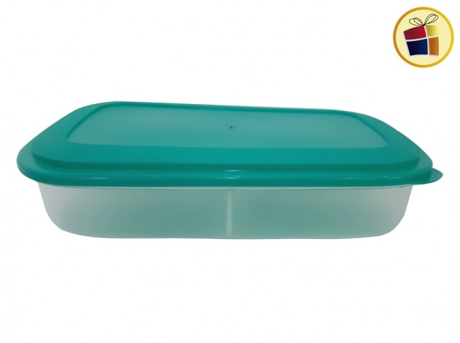 HERMETICO RECTANGULAR 2 LTS CON DIVISION DIF PLAST (411/384110)