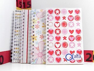 LIBRETA C/ESPIRAL 14 X 9 CM 4040 "ALFA" (040040)